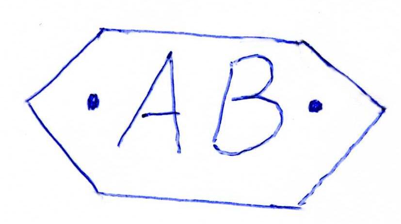 BALODIS ANDIS                                                                                       